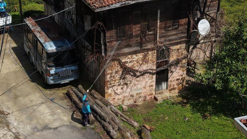 Trabzon'da 30 milyonluk bütçeyle kahverengi kokarcaya karşı büyük mücadele başladı: Üreticiye uyarılar peş peşe geldi: 35 yıl sürebilir, hazırlıklı olun