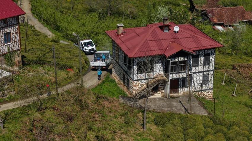 Trabzon'da 30 milyonluk bütçeyle kahverengi kokarcaya karşı büyük mücadele başladı: Üreticiye uyarılar peş peşe geldi: 35 yıl sürebilir, hazırlıklı olun