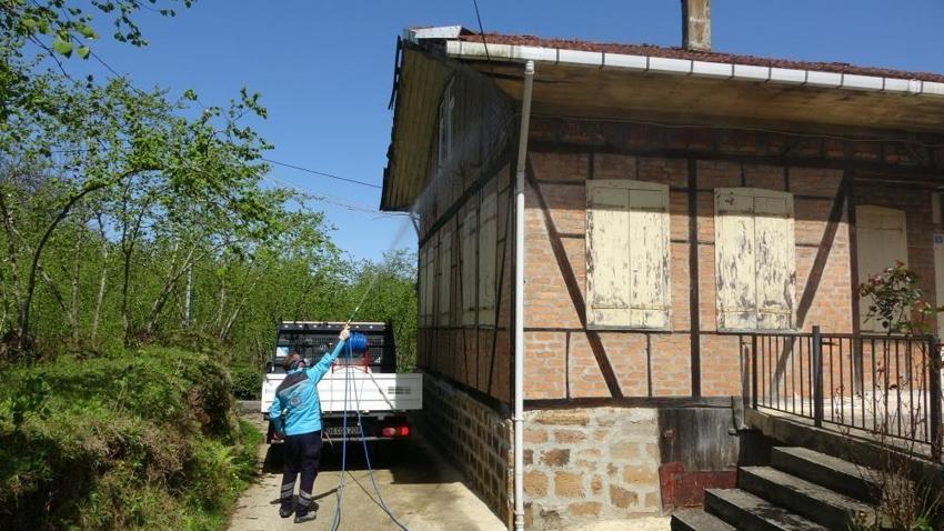 Trabzon'da 30 milyonluk bütçeyle kahverengi kokarcaya karşı büyük mücadele başladı: Üreticiye uyarılar peş peşe geldi: 35 yıl sürebilir, hazırlıklı olun