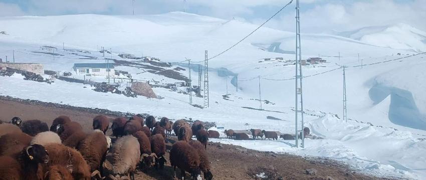 Yoğun kar yağışı, fırtına ve tipi Ağrı’da Nisan ayında yolları kapattı
