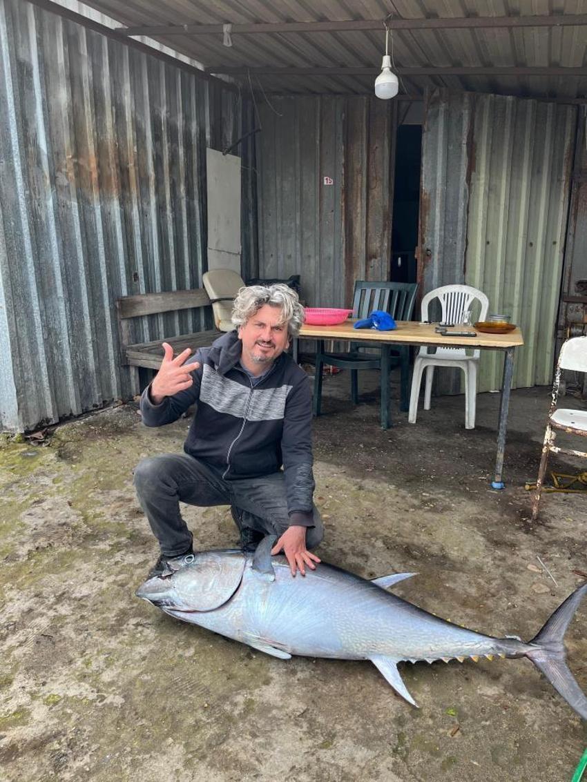 İskenderun Körfezi'nde 1 buçuk metrelik dev orkinos ağlara takıldı! 60 kilo geldi, kantar tartamadı
