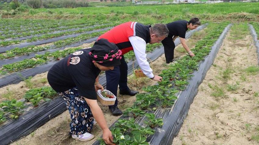 1 dekar alana ilk defa ekti, hayatı bir anda değişti! Kazancı katlandı: Duyan kapısında kuyruk oluyor