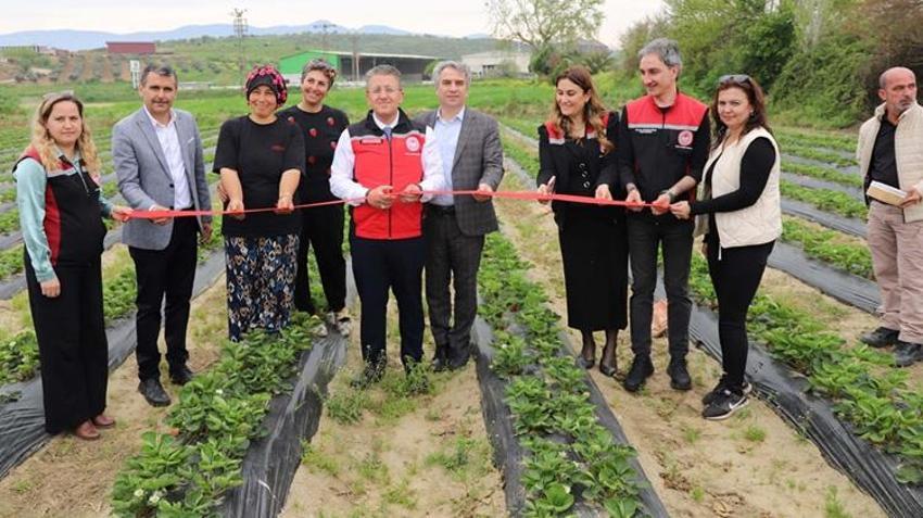 1 dekar alana ilk defa ekti, hayatı bir anda değişti! Kazancı katlandı: Duyan kapısında kuyruk oluyor