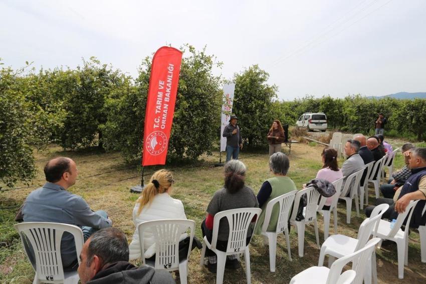 Muğla’da Tarımda "DERİM" devrimi! Üretici öğretmen narenciye bahçeleri sınıf oldu