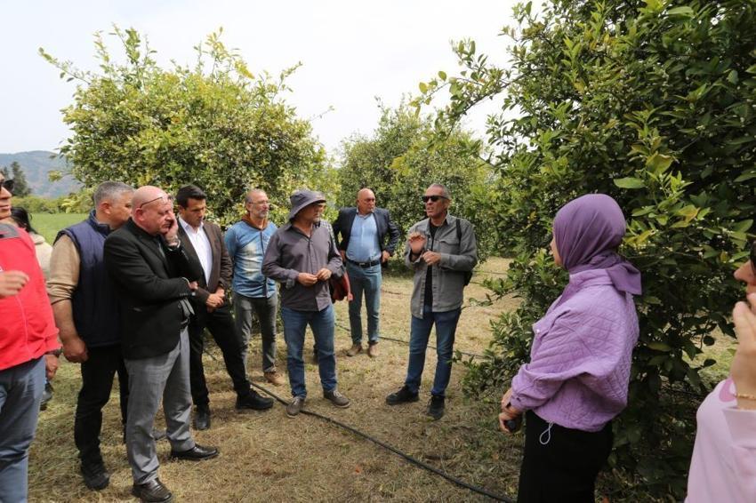 Muğla’da Tarımda "DERİM" devrimi! Üretici öğretmen narenciye bahçeleri sınıf oldu