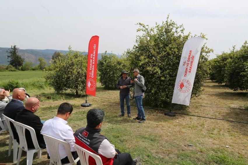 Muğla’da Tarımda "DERİM" devrimi! Üretici öğretmen narenciye bahçeleri sınıf oldu