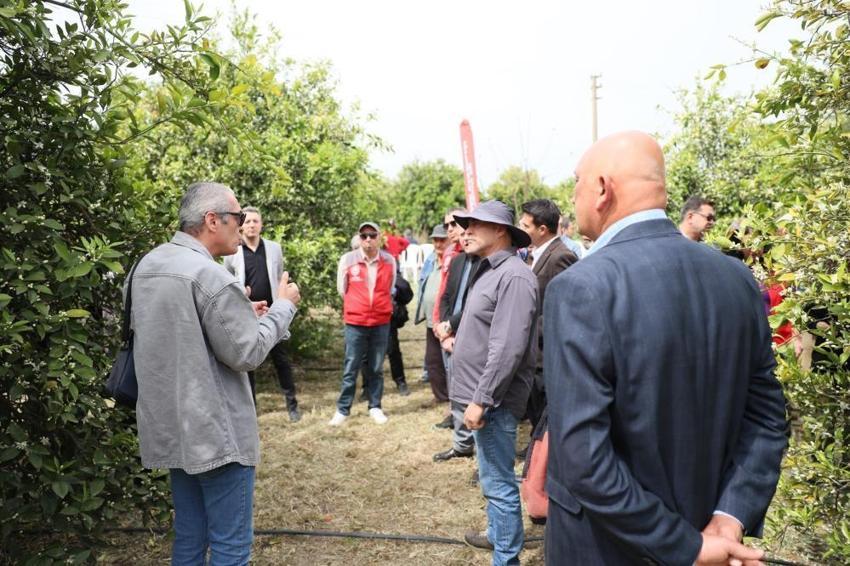 Muğla’da Tarımda "DERİM" devrimi! Üretici öğretmen narenciye bahçeleri sınıf oldu