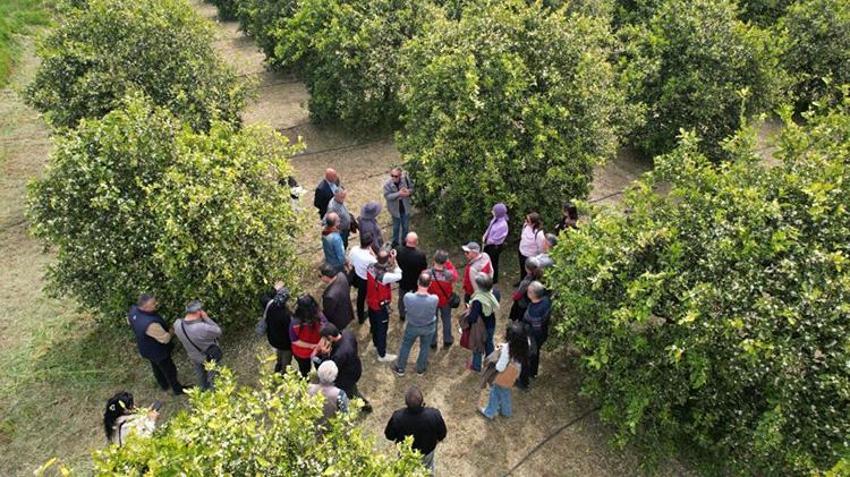 Muğla’da Tarımda "DERİM" devrimi! Üretici öğretmen narenciye bahçeleri sınıf oldu
