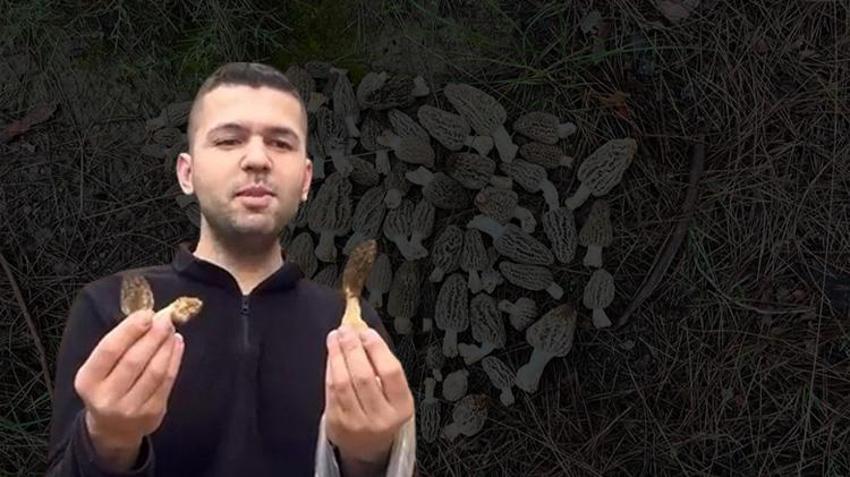 Adana'nın ormanından servet fışkırıyor! Bedavaya toplayıp kilosunu 1.500 TL'den satıyorlar