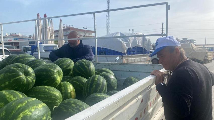Hasat başladı, Antalya karpuzuyla İran karpuzu arasındaki farkı açıkladı!