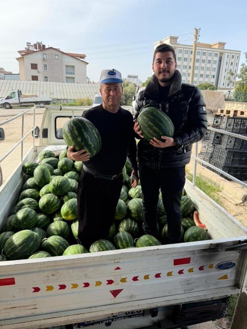 Hasat başladı, Antalya karpuzuyla İran karpuzu arasındaki farkı açıkladı!