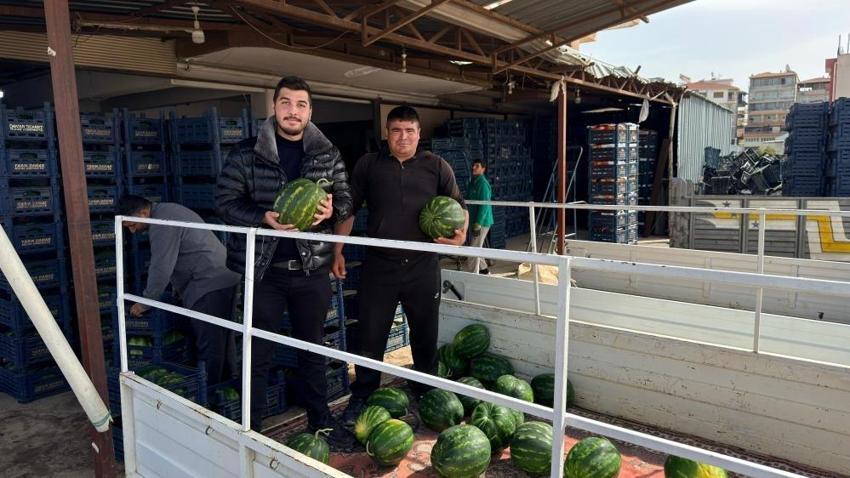 Hasat başladı, Antalya karpuzuyla İran karpuzu arasındaki farkı açıkladı!