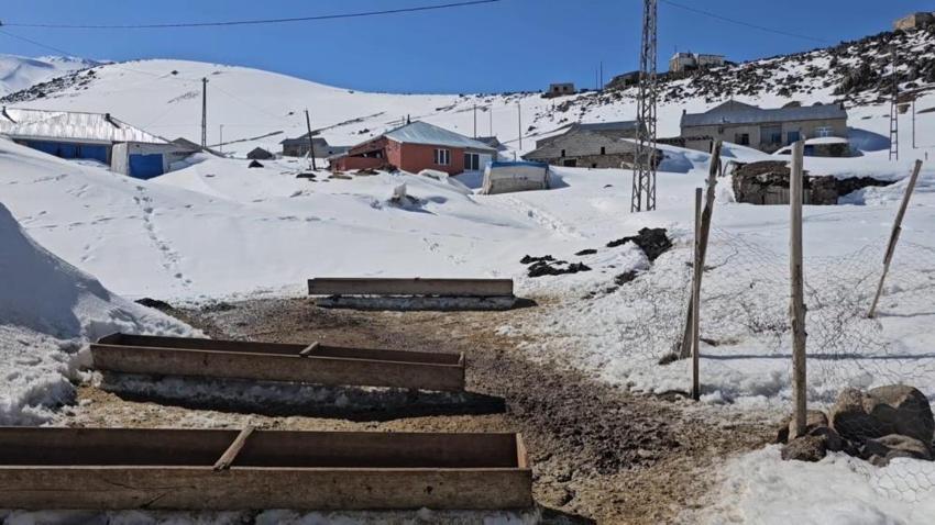 Bitlis'te evler adeta kara gömüldü! Nisan ortasında 3 metreyi buldu