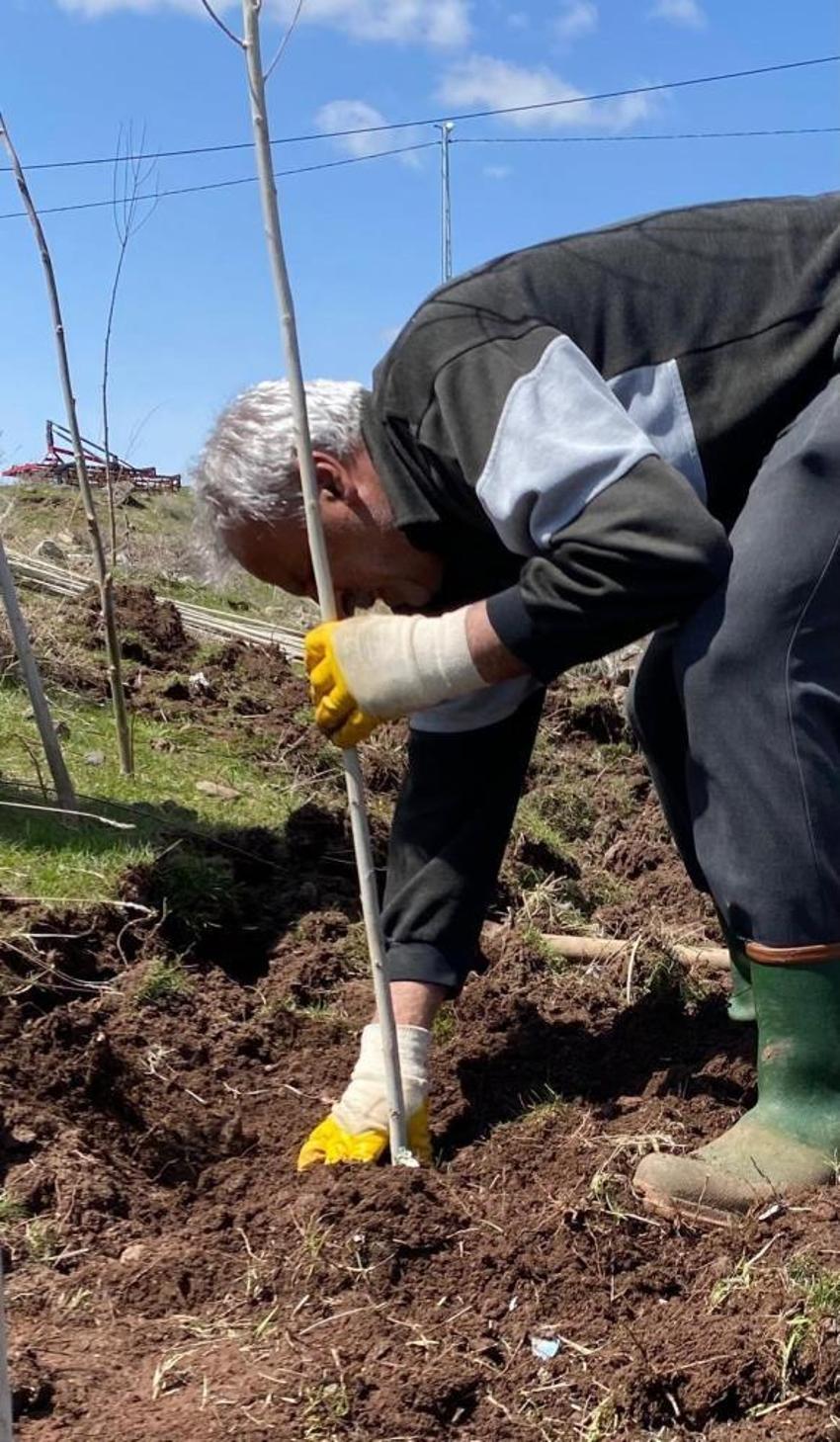 Ağrı'da köylüler imece usulü fidan dikimine başladılar: Traktörünü alan geldi, binlerce fidan toprakla buluştu!
