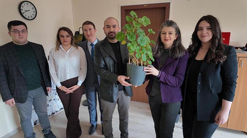 Bitkilerden üretildi: Tek bir tanesi 25 metrekarelik odayı aydınlatıyor! Bolu'da bilim insanları fotosentezi elektriğe dönüştürdüler