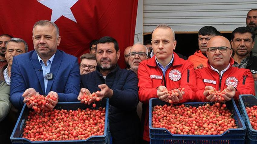 Manisa'da 2026'nın ilk hasadı yapıldı! Kilogramı gram altınla yarışıyor: Don olmadı, verim tavan yaptı, üreticinin yüzü gülüyor