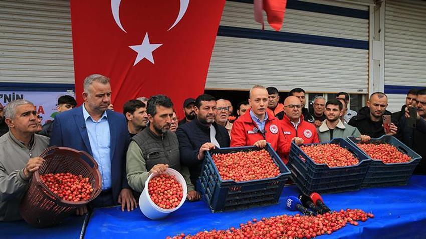 Manisa'da 2026'nın ilk hasadı yapıldı! Kilogramı gram altınla yarışıyor: Don olmadı, verim tavan yaptı, üreticinin yüzü gülüyor