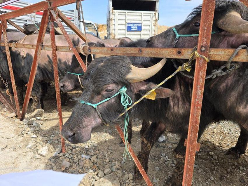Yozgat'ta yüzde 50 hibeli 2.4 milyon liralık proje: Üreticilere teslimler başladı