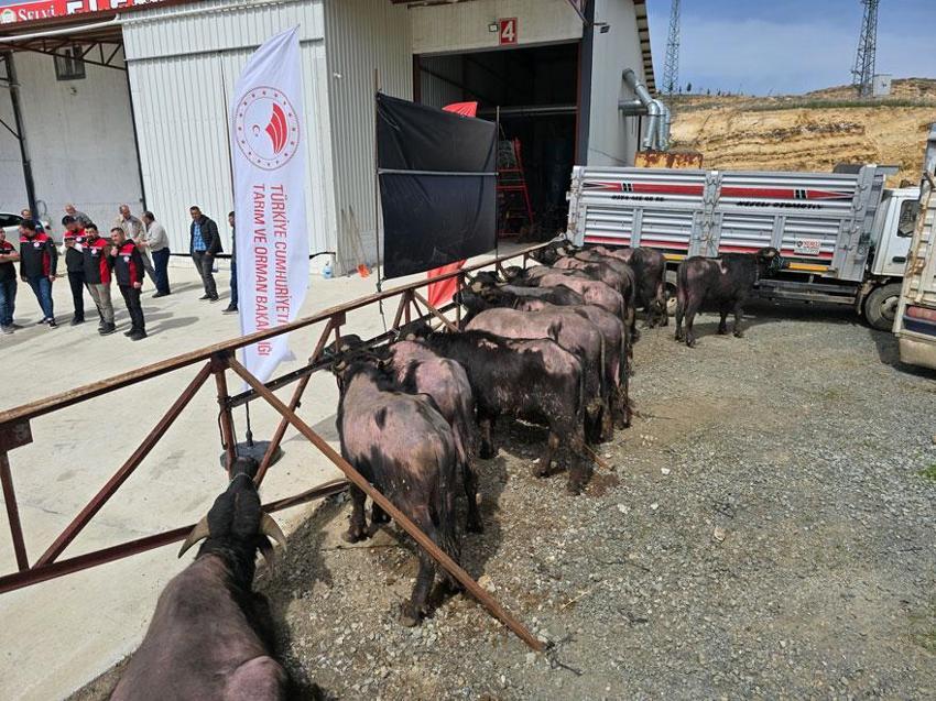 Yozgat'ta yüzde 50 hibeli 2.4 milyon liralık proje: Üreticilere teslimler başladı