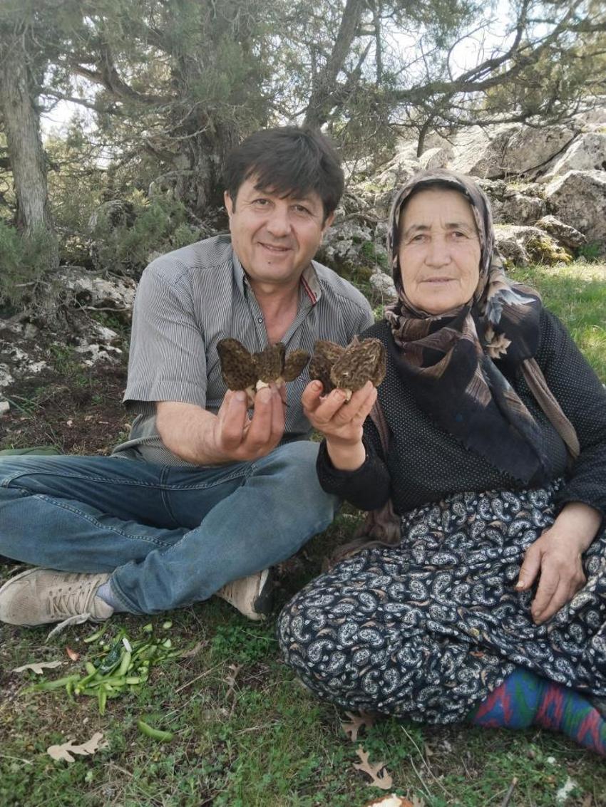 Kuzugöbeği tutkunları sahaya çıktı! Beyşehir'de hasat sezonu başladı, kilosu bin ile bin 500 TL arasında satılıyor