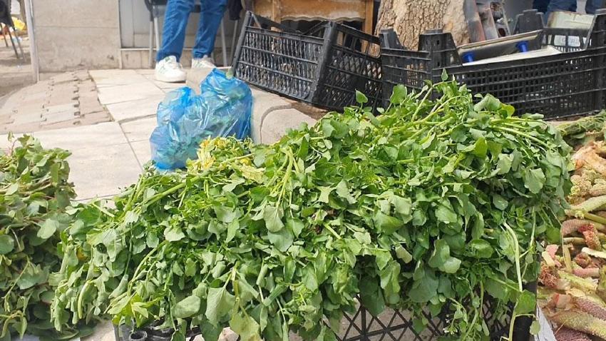 Elazığ'a bahar geldi, ışkın, su teresi ve kuzu kulağı tezgahlardaki yerini aldı