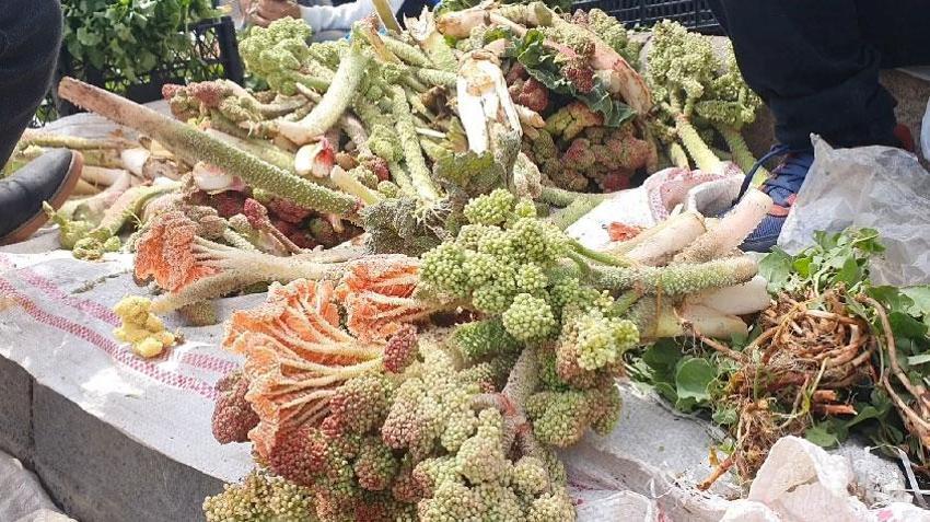 Elazığ'a bahar geldi, ışkın, su teresi ve kuzu kulağı tezgahlardaki yerini aldı