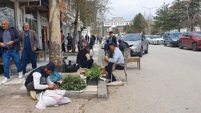 Elazığ'a bahar geldi, ışkın, su teresi ve kuzu kulağı tezgahlardaki yerini aldı