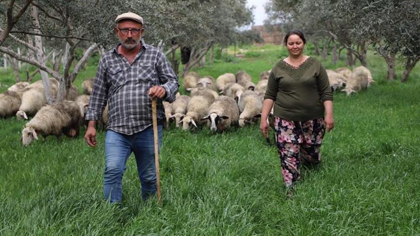 Babasının hediye ettiği bir kuzu hayatını değiştirdi! Oğlu için başladı şimdi patron oldu