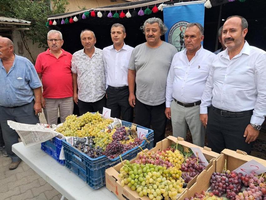 800 yıllık geçmişe sahip Avşar Üzümü coğrafi işaretle tescillendi