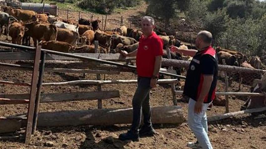 Adana'da devreye alındı! 2 bin 500 tanesi 1 kilo yerine 6 kilo veriyor