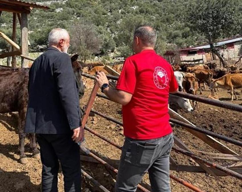 Adana'da devreye alındı! 2 bin 500 tanesi 1 kilo yerine 6 kilo veriyor