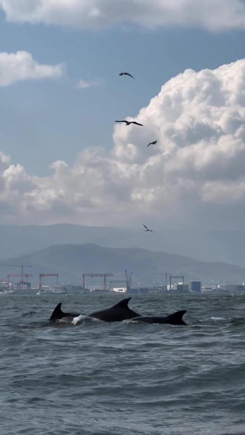 İzmit Körfezi'nde yeniden ortaya çıktı! 1,8 milyon metreküp temizlikten sonra görüldü