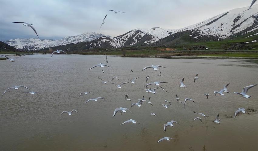Bitlis'te doğa değişti: Menderesler göl oldu!