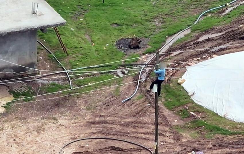 Diyarbakır'da kaçak elektrik dron ile tespit edildi: Koşa koşa direğe çıktı
