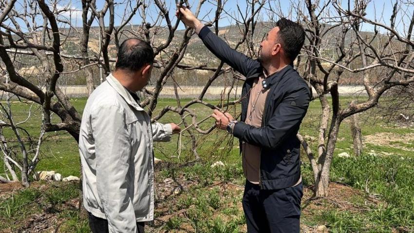 Adıyaman'da 4 köyde alarm verildi: Bu yıl da tüm tarlalarda görüldü!