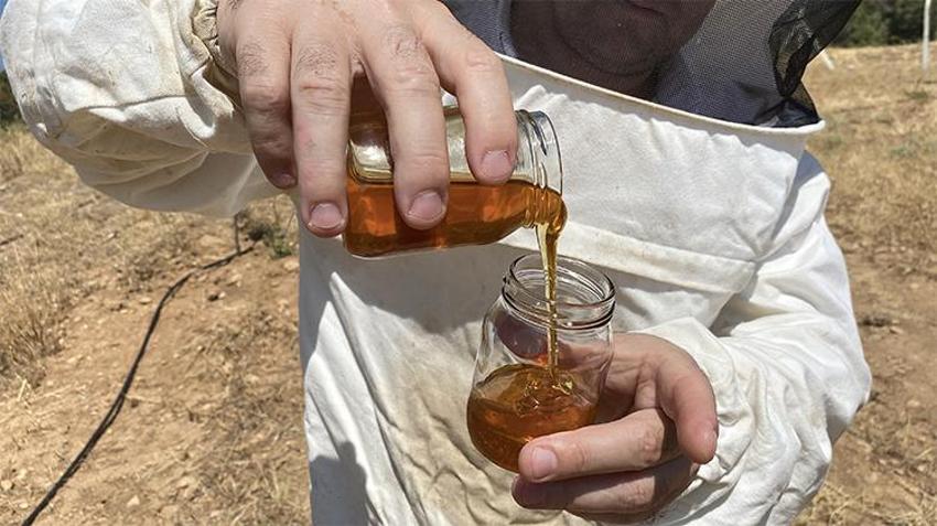 Eskişehir balı dünya sahnesinde! 'Sıvı altın' tescillendi: Alpu’dan Paris’e uzanan başarı hikayesi