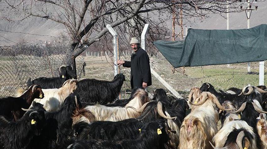 Niğde'de eski hükümlüye devlet desteği! Başvurusu kabul edildi, sürü sahibi oldu