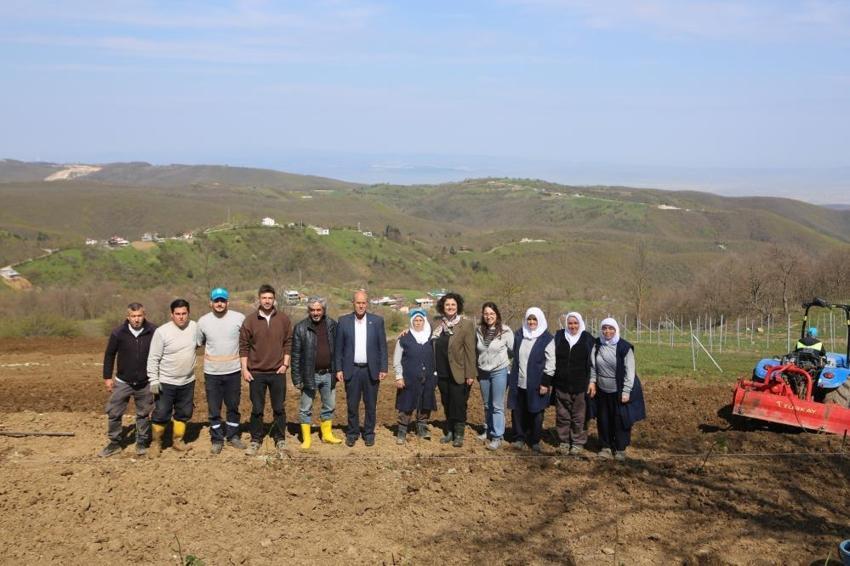 Atıl araziler para basıyor! Bursalı çiftçiye yeni gelir kapısı açıldı: Bu ürünleri eken kazanıyor
