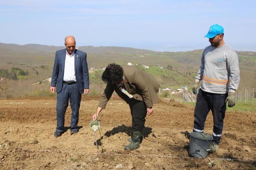 Atıl araziler para basıyor! Bursalı çiftçiye yeni gelir kapısı açıldı: Bu ürünleri eken kazanıyor