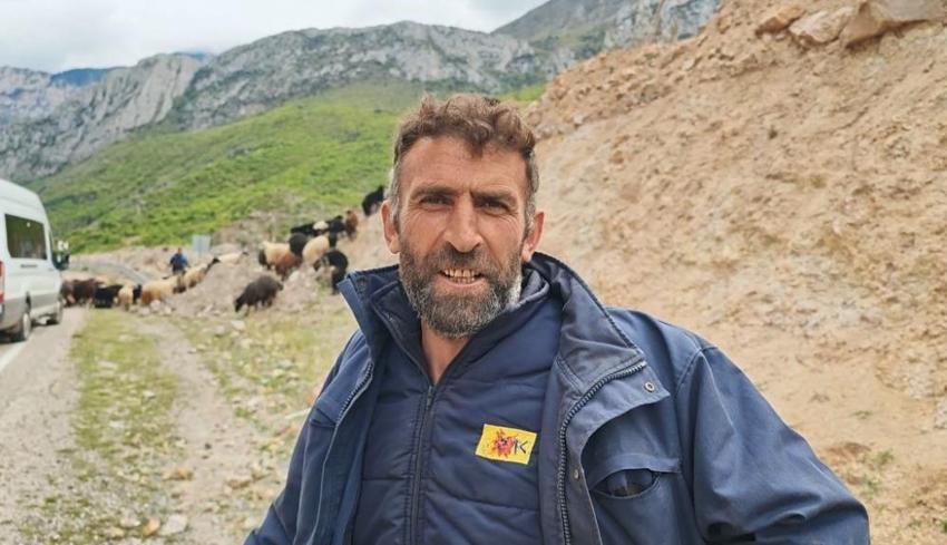 Artvin'de her Mayıs ortaya çıkıyor: Karayolunda görülmeye başlandı