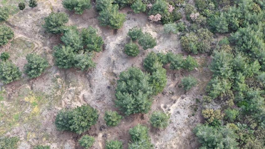 Çanakkale Savaşı'nda İngilizlerin Osmanlıca broşürleri ortaya çıktı! Türk askerine saf değiştir çağrısı! 'Düşmanımız siz değil, Almanlar'
