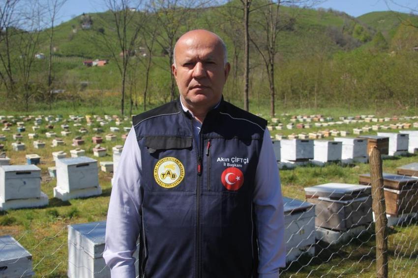 Ordu'da arıcılığın çehresi değişiyor: Arıcılar artık kendi kraliçelerini üretecek! Eğitimler tamamlandı, üretim başladı