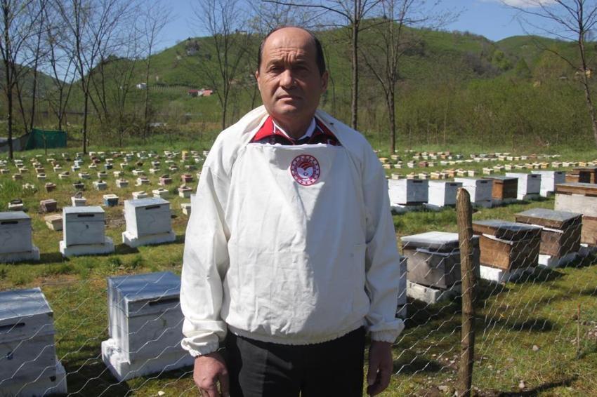 Ordu'da arıcılığın çehresi değişiyor: Arıcılar artık kendi kraliçelerini üretecek! Eğitimler tamamlandı, üretim başladı