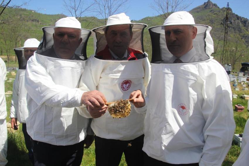 Ordu'da arıcılığın çehresi değişiyor: Arıcılar artık kendi kraliçelerini üretecek! Eğitimler tamamlandı, üretim başladı