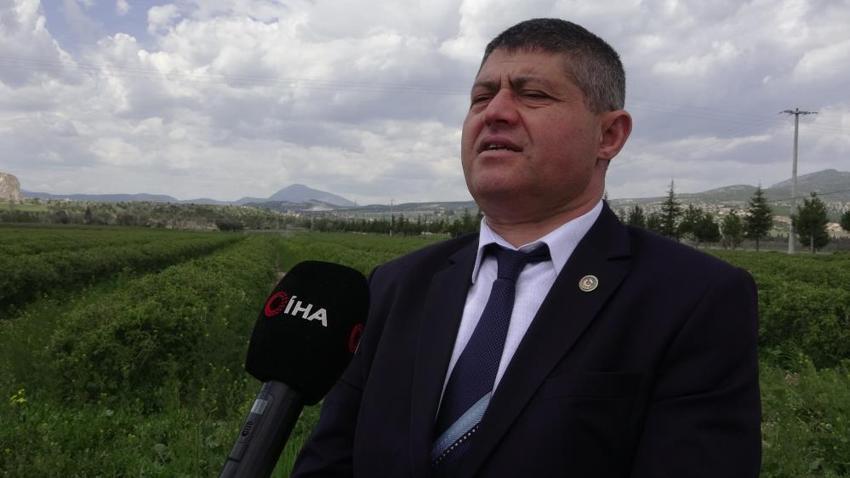 Isparta'da hasat yaklaşırken çiftçinin umudu artıyor! Rekolte beklentisi geçen seneye göre arttı