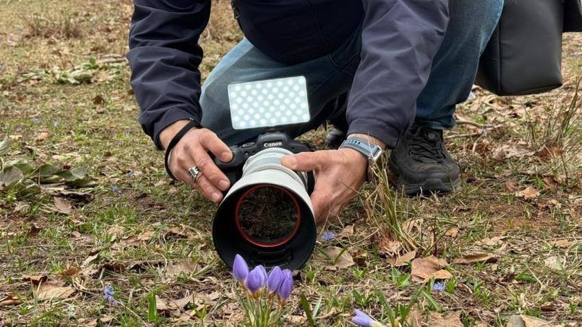 Kocaeli'de bu yıl da görüldü: Foto safariyle ölümsüz kareler yakalandı