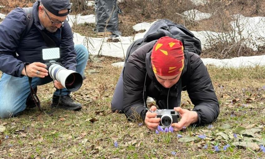 Kocaeli'de bu yıl da görüldü: Foto safariyle ölümsüz kareler yakalandı