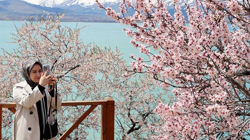 Akdamar Adası pembe-beyaz gelinliğini giydi! Turistler akın etmeye başladı: Dünyanın her yerinden akın var
