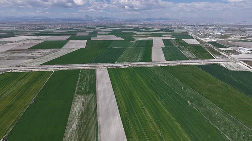 Konya Ovası'na bereket yağdı! Rekolte beklentisinde 500 bin ton artış gözlemleniyor
