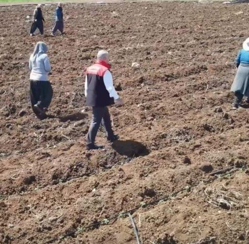 Elazığ'da 160 dekar alanda başladı: Merkez Sürsürü Mahallesi'nde üretilecek